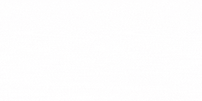 FLOR 3163 (1080 × 300 px)